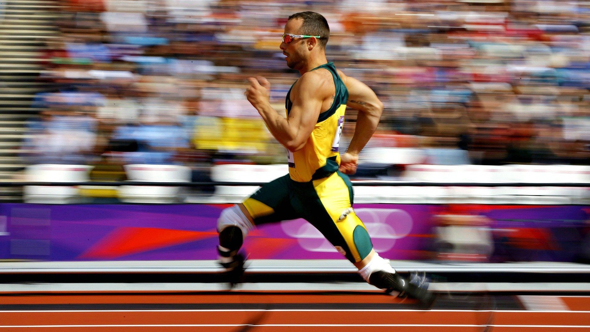 开云官网-莱德基:泳池中的传奇延续,莱德基2021